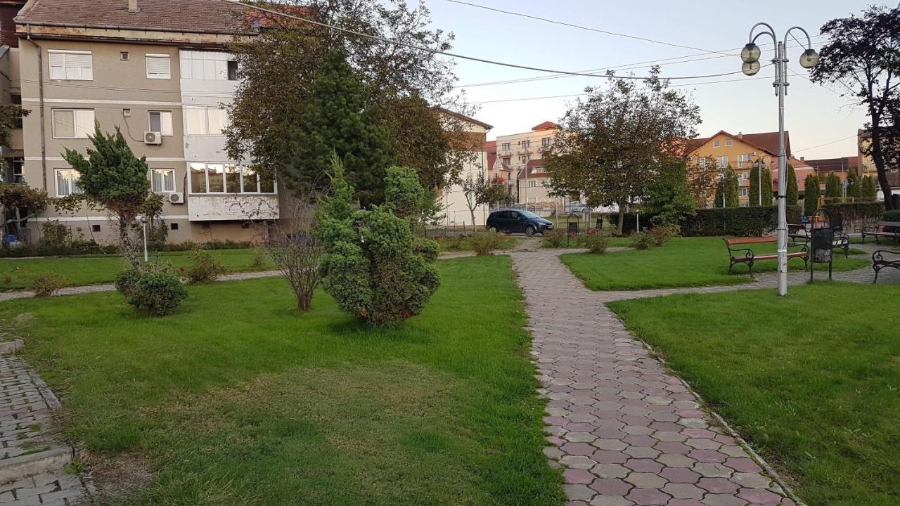 Apartament Ema Băile Felix Eksteriør bilde